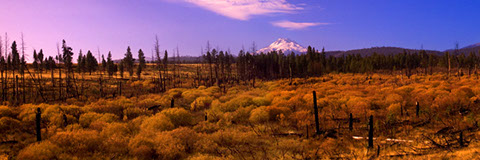 Renewal - Mount Hood, OR - Mark Dodge